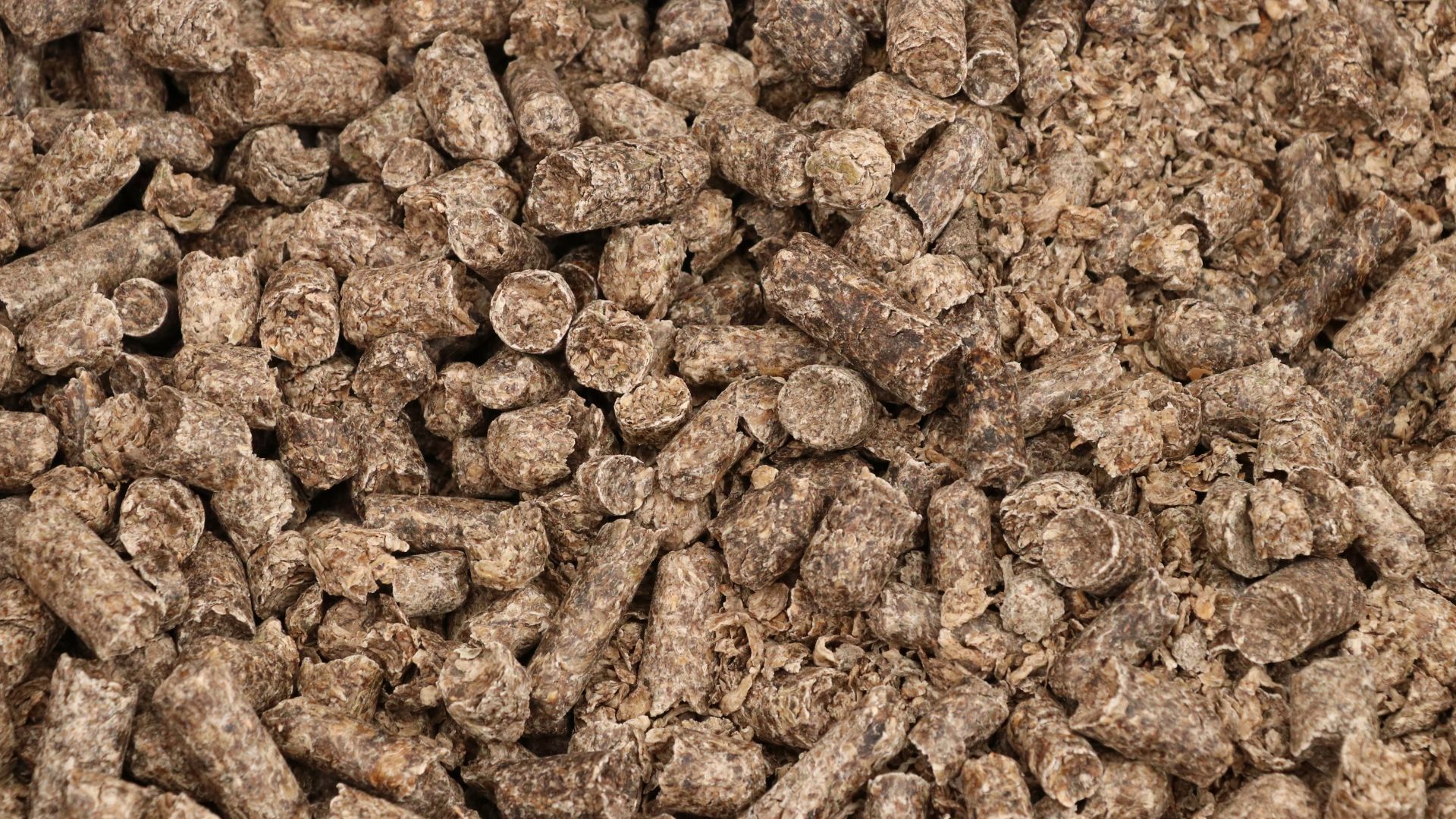 Pasze Wysłodki buraczane