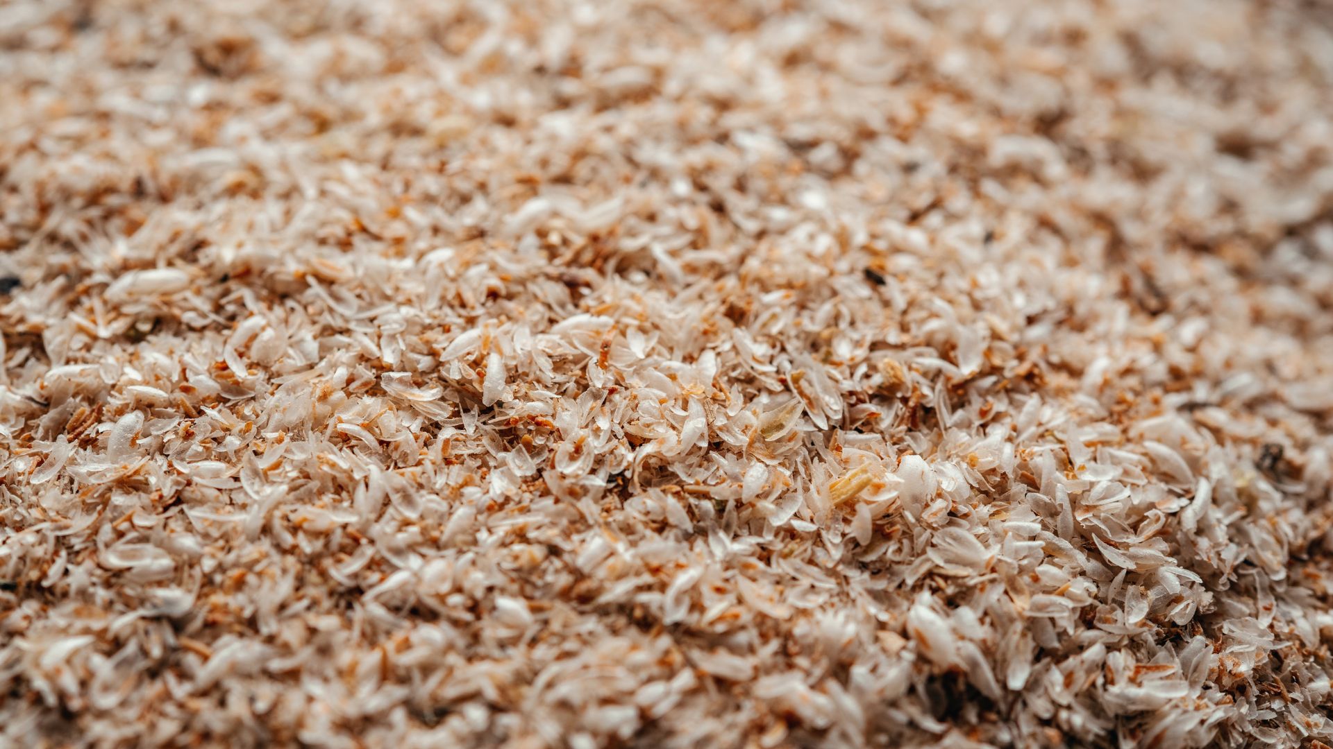 biomasa odsiewy zbożowe